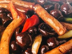 -食家鸽园