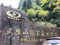 -武陵山森林公园