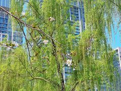 -西北湖绿化广场