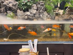 -舟小鲜·舟山小渔村(凤城四路中登广场店)