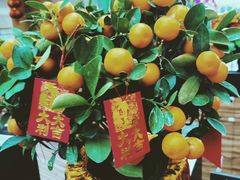 -上海外滩茂悦大酒店
