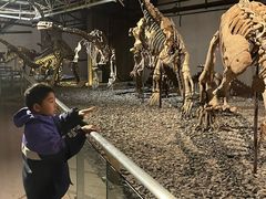 -世界恐龙谷景区