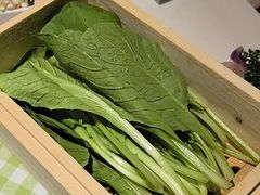 -番食园鲜食火锅(高新店)