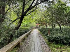 -雨花胜境