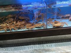 -阿伟海鲜楼·福建菜(延寿店)