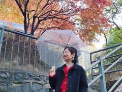 -西安市纺织公园