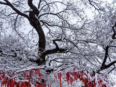-云丘山景区