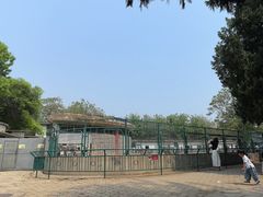 -保定市动物园