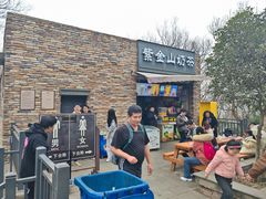 -紫金山山顶公园
