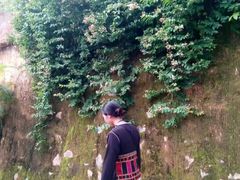 -海南槟榔谷黎苗文化旅游区
