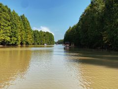 -上海海湾国家森林公园