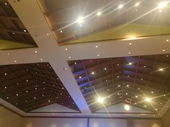 -三亚湾红树林国际会展中心(演出售票)