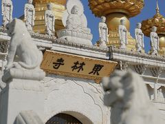 -上海东林寺(金山区)