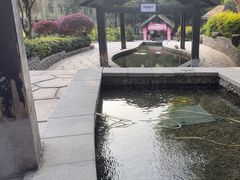 -融汇温泉