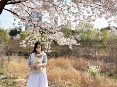 -大班家政月嫂育儿嫂(深圳NO.1店)