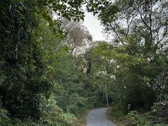-POLO小馆·老南京菜(解放路店)