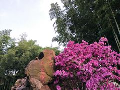-荆川公园