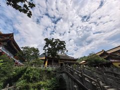 -天目山大树王景区