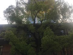 -人民公园-相亲角