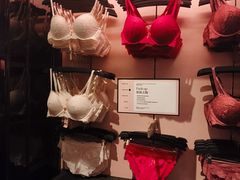 -Victoria's Secret(苏州中心全品类店)