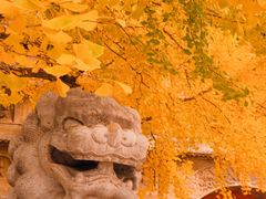 -北京石刻艺术博物馆(五塔寺)