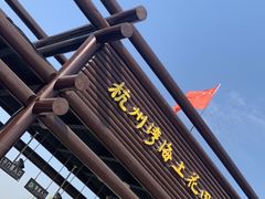-杭州湾海上花田景区