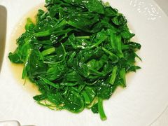鸡汁豌豆苗-北平楼·烤鸭·北京菜(牡丹园店)
