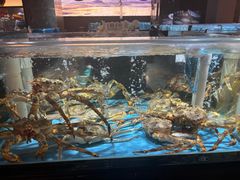 -紫阳海鲜楼·传承闽味(长乐路总店)
