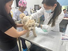 -中国农业大学动物医院