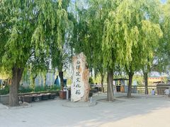 -白洋淀风景区