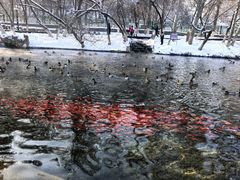 -水磨沟公园
