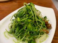 椒油豆芽-沪上馨和小馆•海派上海菜(陆家浜路店)