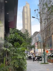 -不迫先生专业男士剪发