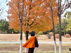 -长春世界雕塑园冰雪艺术天地