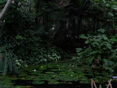 -中国科学院西双版纳热带植物园