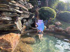 -崇阳三特浪口温泉