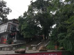 -贵阳市花溪国家城市湿地公园