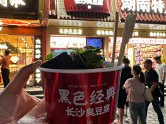 -黑色经典臭豆腐·湖南特产(坡子街店)