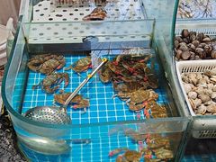 -渔码头食府·20年蓬莱老字号(登州路店)