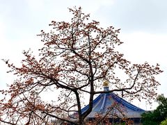 -广州中山纪念堂