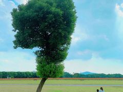 -山明水秀大饭店