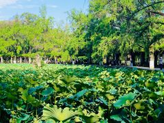 -四川大学(华西校区)