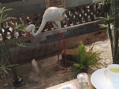 -广东道至正餐厅(区庄店)