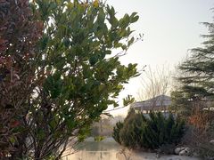 -芭东小镇温泉