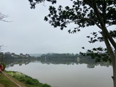 -美的鹭湖森林度假区