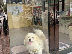 -芭比堂动物医院·心脏专科·夜诊·吉雅分院