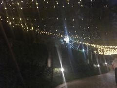 -琴岛之星摩天轮