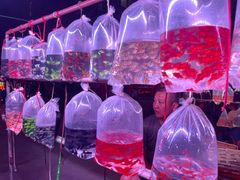 -华声天桥民俗文化园