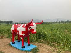 -狼牙山风景区