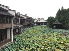 -乌镇望津里精品酒店